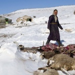 「蒙古嚴冬」把大草原變成怎樣？它為什麼出現更頻？傳統生活方式破壞和畜牧陷困境實令人擔憂…