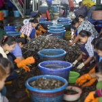 來自奴隸的海鮮: 揭開泰國漁業強逼工人「下海」的秘聞