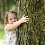 多親近樹木使人長壽！哈佛大學研究怎麼說？