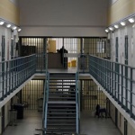竟有囚犯不足的事？荷蘭監獄空置率高，是罪案少了還是其他原因？
