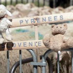 熊與人可以和平相處嗎？法國羊農堅拒政府引入棕熊，其他人則舉出很多理由支持…