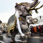泰國王室視珍貴的白象為神獸，新泰王登基當然少不了牠的祝賀