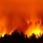 地球之肺危機 – 亞馬遜雨林火災連連，對人類「終極危險」在那裡？
