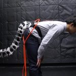 日本科學家研製人工尾巴。現代人類為何需要一條尾…