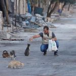 貓比人多的敘利亞小鎮：人貓相依，稍紓戰火帶來的痛苦