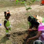 印度小村為新生女嬰栽種「女兒樹」，衝破重男輕女習俗，還帶來財富、改善環境……