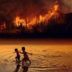 南美洲兩大濕地連續野火，情勢失控。野火次數倍增，雨林如何發展下去？
