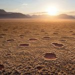 在沙漠出現的「仙女圈」（Fairy Circles），是自然界最大的謎團之一，成因是螞蟻、微生物，還是「神的足印」？