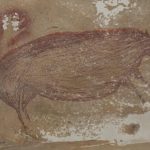 罕有的史前藝術，讓人驚嘆的遠古文明──保存在洞穴數萬年的壁畫，可能很快再次從人們的眼前消失⋯⋯