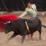墨西哥城將禁止鬥牛？近500年歷史的傳統文化將要謝幕，保護動物權益和保育傳統文化之間要如何取捨？