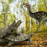曾與恐龍在大地漫遊，地球上倖存至今的活化石龜龜，大家勿忘守護牠們⋯⋯
