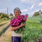 台灣農夫16年來不問回報 種出無公害鮮花