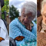 養蝴蝶為加拿大一家安老院帶來奇妙的轉變