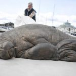 挪威將海象人道毀滅 民眾不滿 製作雕像記念