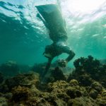 印度「海女」承受危險和家庭重擔 潛水採集海藻維生