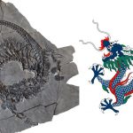 科學家重塑2.4億年前恐龍化石  酷似中國傳說中的龍