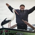 土耳其漁夫與白鸛連續13年每年相聚