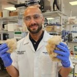 英國科學家研究用頭髮製成牙膏可有效修護牙齒