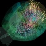 科學家繪製老鼠腦部活動圖譜 顯示大腦決策過程極複雜