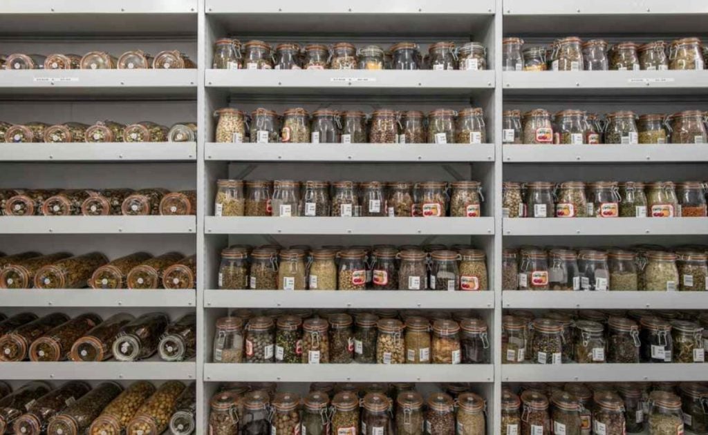 種子庫。(圖片來源:Ines Stuart-Davidson©RBG Kew)
