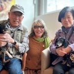 狗隻收容中心舉辦「抱抱時光」長者與老狗同受惠