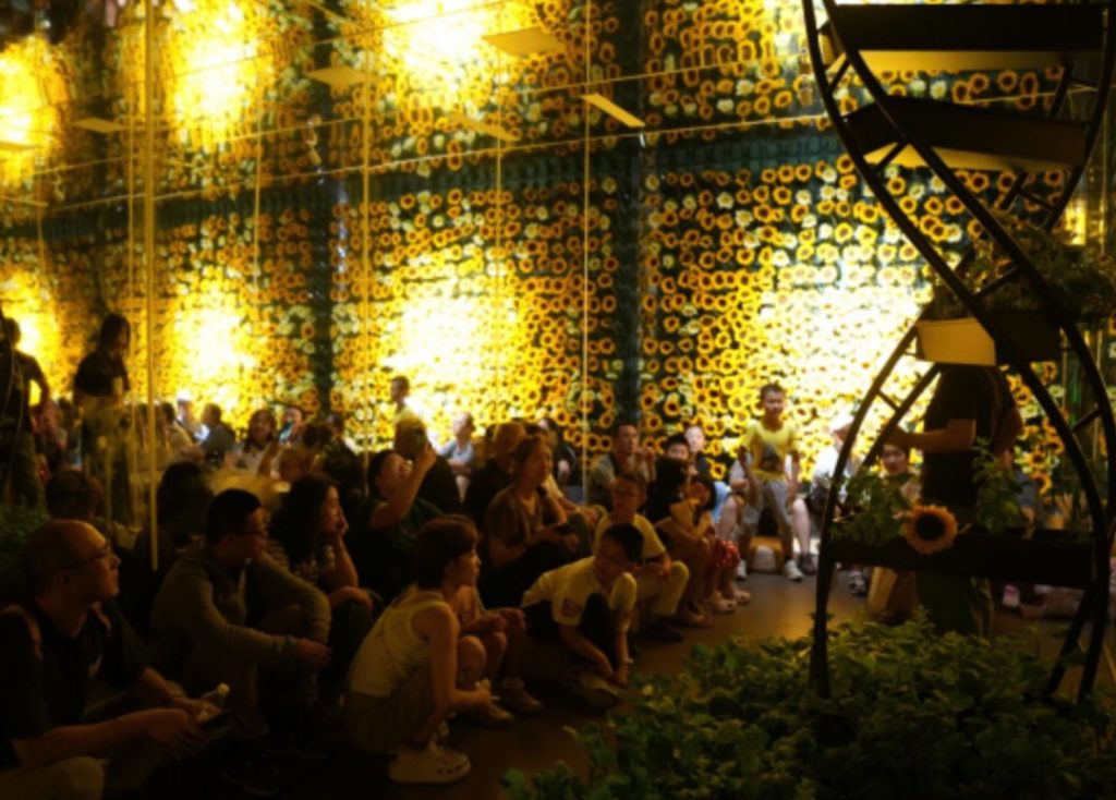 研究團隊去年與國家自然博物館合作推出發光植物微展覽，讓孩子體驗合成生物學的實驗過程。（圖片：神筆生物）
