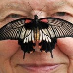 主持大自然紀錄片70載 百歲生物學家樂見「艾登堡效應」