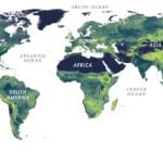 科學家繪製出世界首張真菌地圖 微細菌絲有助減少碳排放