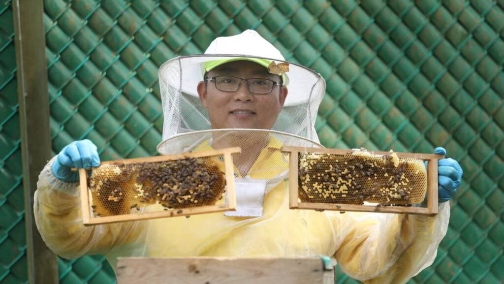 蜜蜂保育工作者陳梽勇成立了Nutrinest,提供蜂巢移除服務,至今已遷移上千個蜂巢。