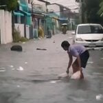 近期曼谷水浸揭示城市嚴竣下沉危機